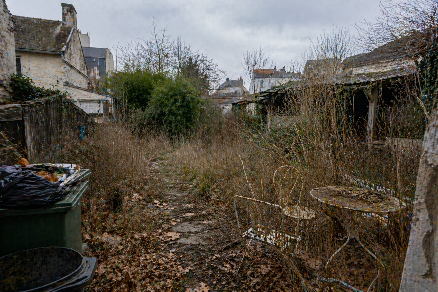 Avant — jardin abandonn&eacute; en d&eacute;sordre